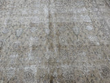 Traditional Style Vintage Look Area Rug