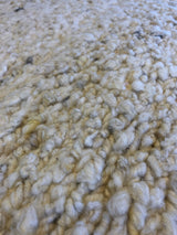 Ivory Wool Area Rug