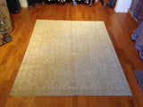 Traditional Pakistani Beige Area Rug