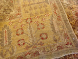 Gold and Brown Traditional Pakistani Area Rug