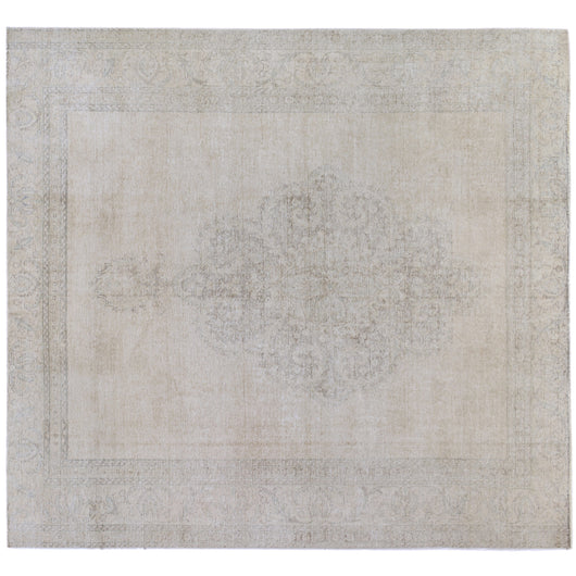 Vintage Look Traditional Style Area Rug