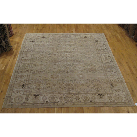 Beige Pakistani Rug