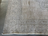 Vintage Look Traditional Style Area Rug